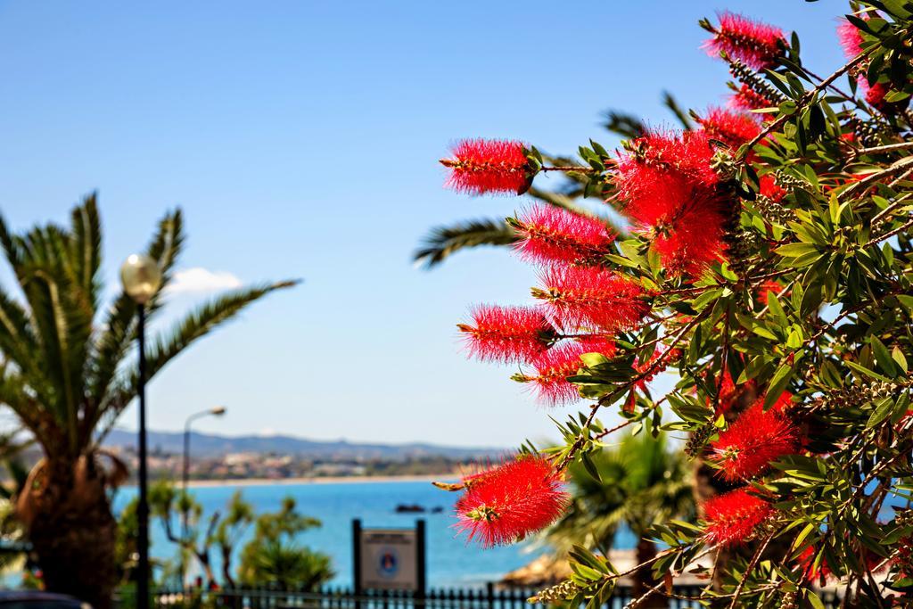Stam'S Paradise Hanya Dış mekan fotoğraf